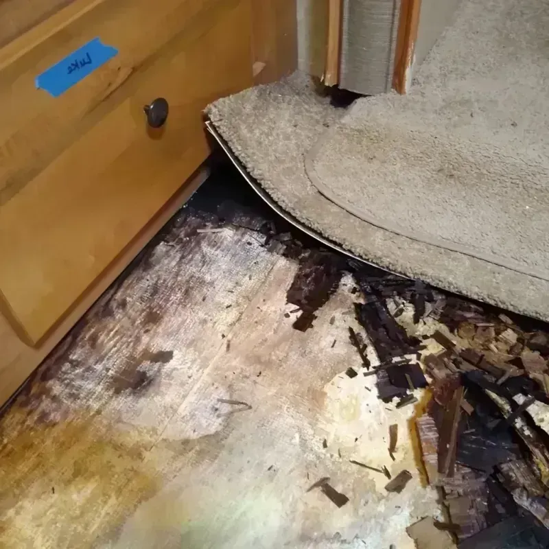 Wood Floor Water Damage in Cass County, IA